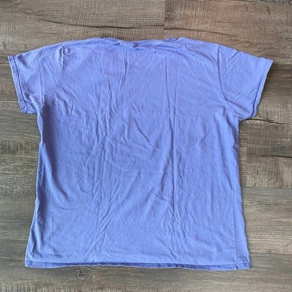 Farm Fed Clothing Novelty Funny Dixie Chicks T Shirt Lavender in Color Size 2XL - Picture 3 of 5